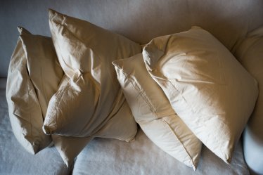 Bare pillows